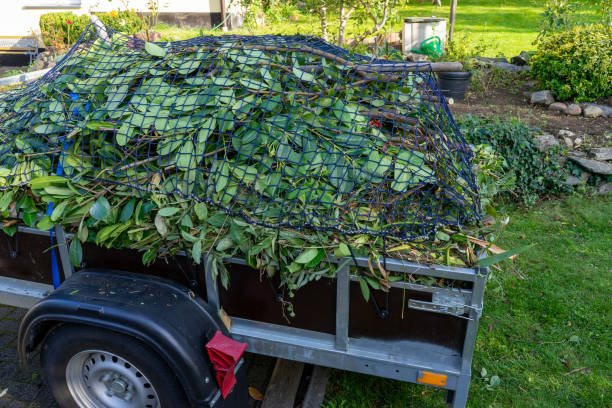 Best Dumpster Rental Services  in Eufaula, AL